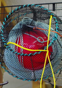 Crab traps, prawn trap, bait